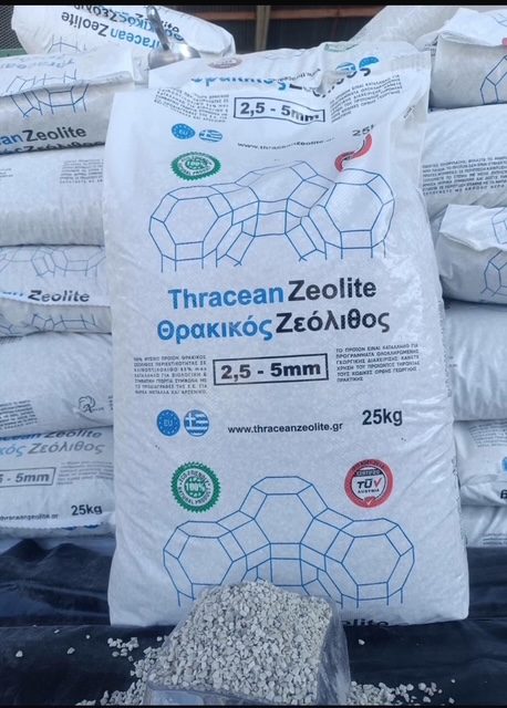 Micronised zeolite foliar spray on citrus trees (2)