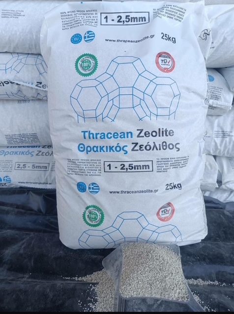 Micronised zeolite foliar spray on citrus trees (3)