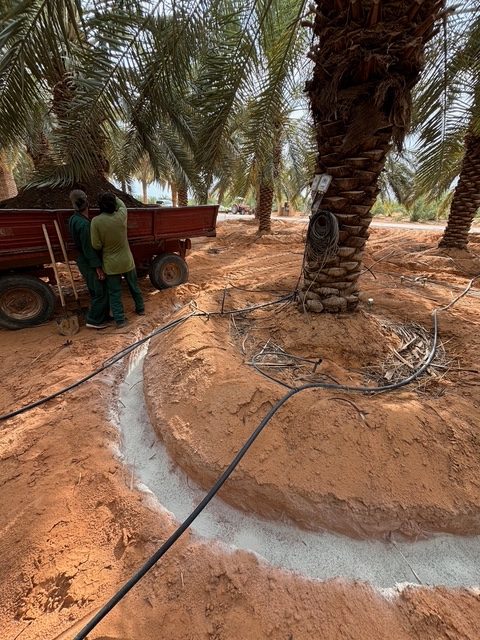 Natural zeolite applied in the field (2)