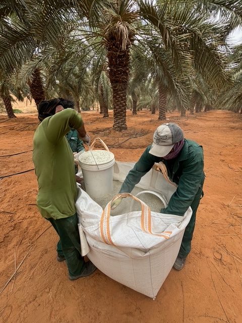 Natural zeolite applied in the field (3)