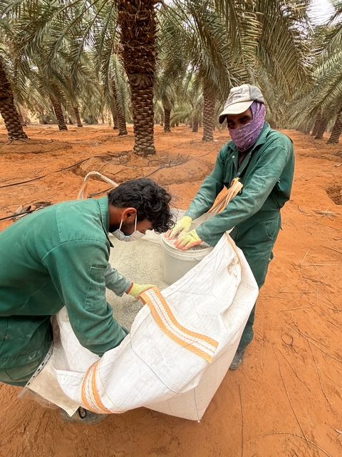 Natural zeolite applied in the field (4)