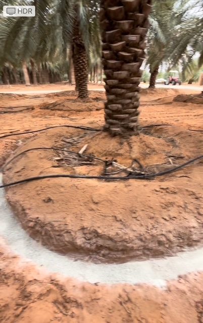 Natural zeolite applied in the field (7)