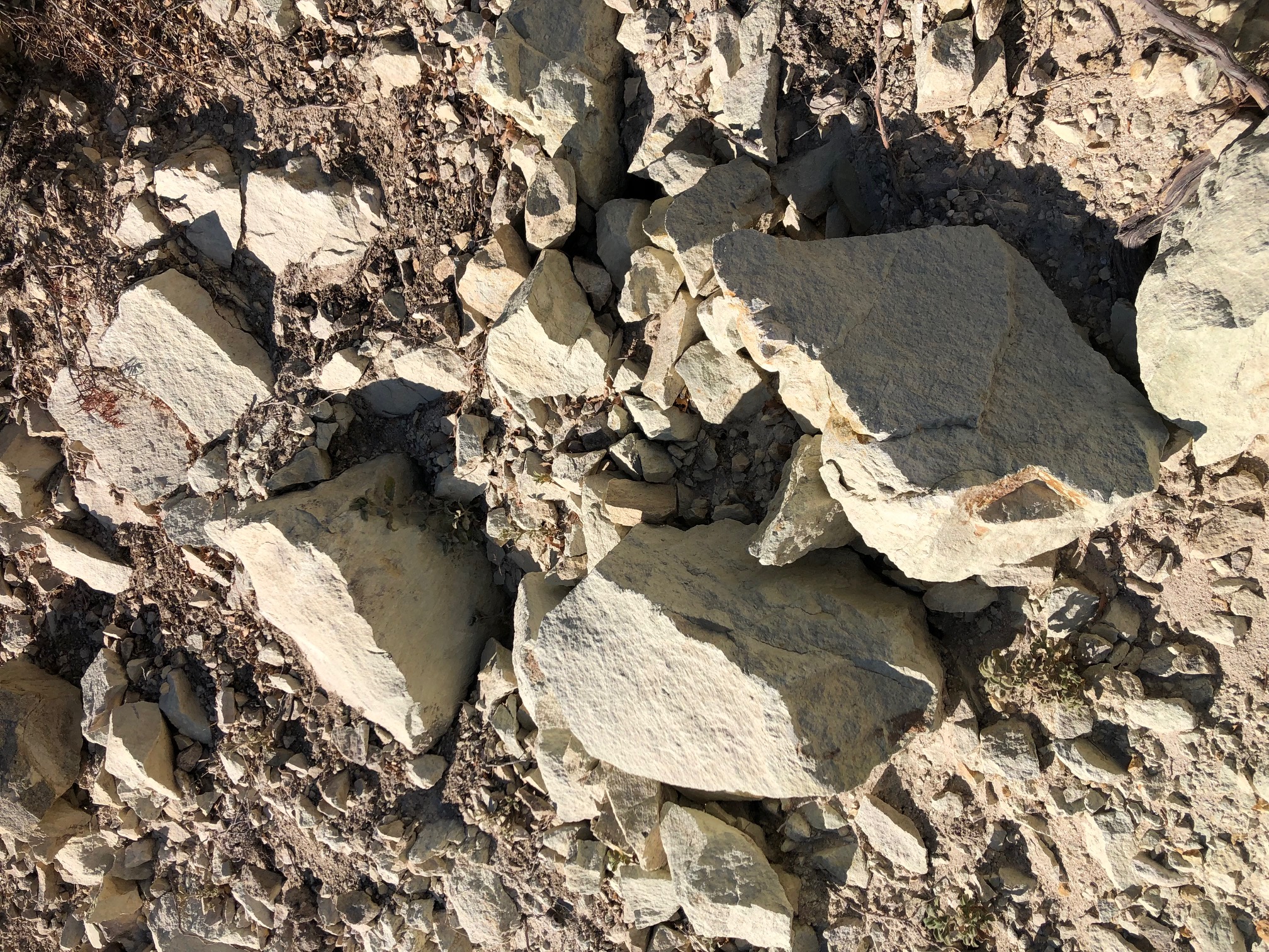 Natural clinoptilolite zeolite stone
